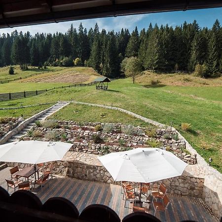 Hotel Conacul Domnitei Voroneț Exteriér fotografie