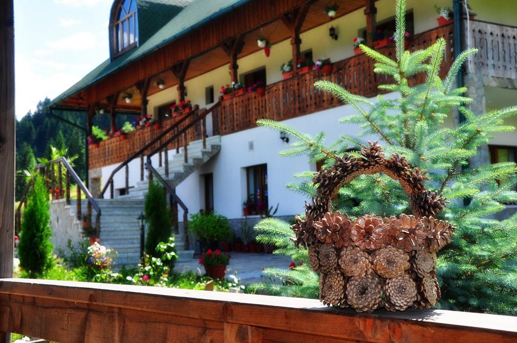 Hotel Conacul Domnitei Voroneț Exteriér fotografie